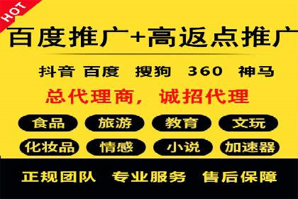 SEM服务在本地化营销中的应用案例